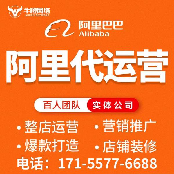 厦门电商代运营