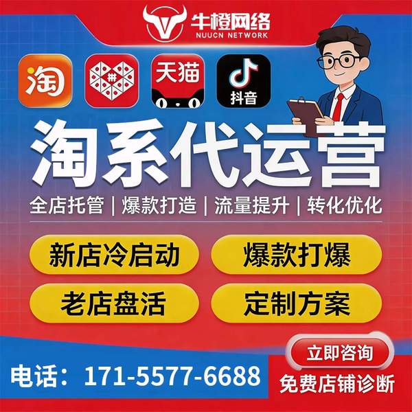 厦门电商代运营