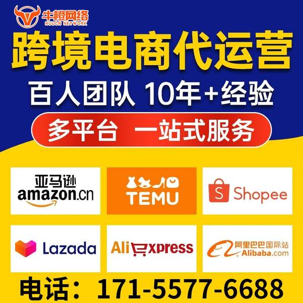 厦门电商代运营