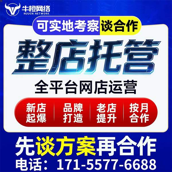 厦门电商代运营