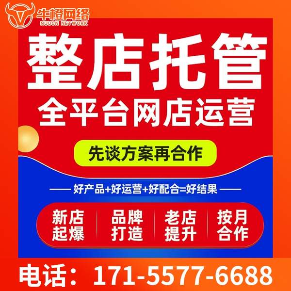 厦门电商代运营