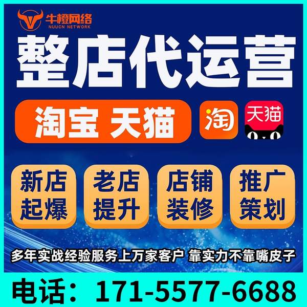 厦门电商代运营