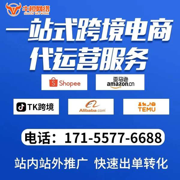 厦门电商代运营
