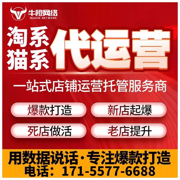 厦门电商代运营
